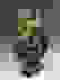 item-45453466=3