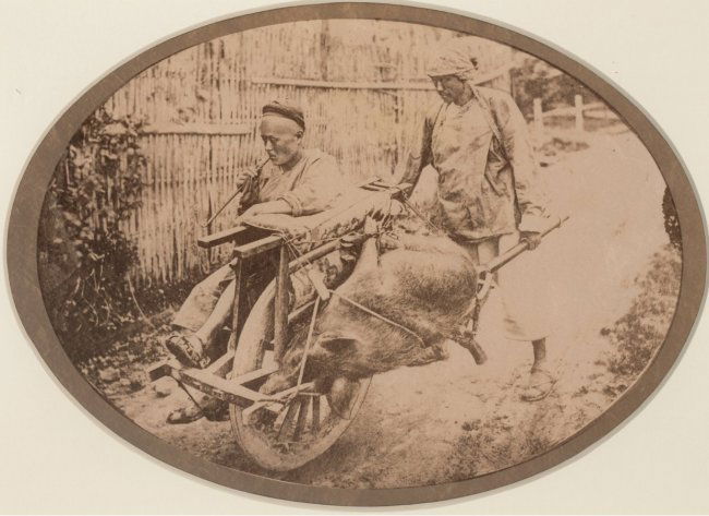Chinese Mode of Transport, Shanghai, c1865: Description: Chinese Mode of Transport, man and beast carried on a wheel-barrow. c1865. Condition: Good contrast and tonality Year: c1865 Country: China Maker: John Thompson Height: 5.75 in. (14.60 cm