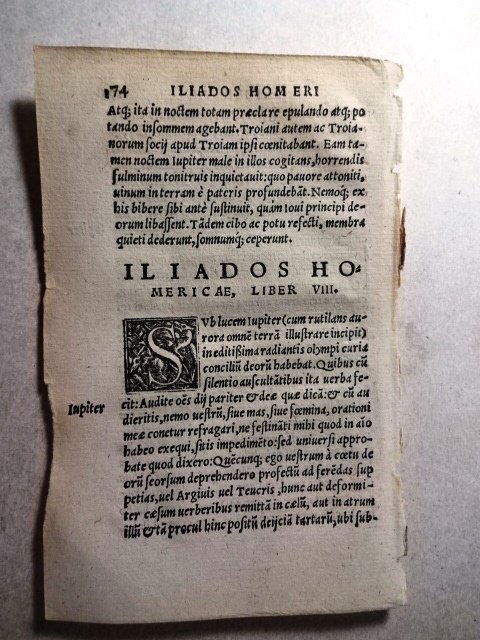 1537 Leaf Homer Iliad (1 of 1)