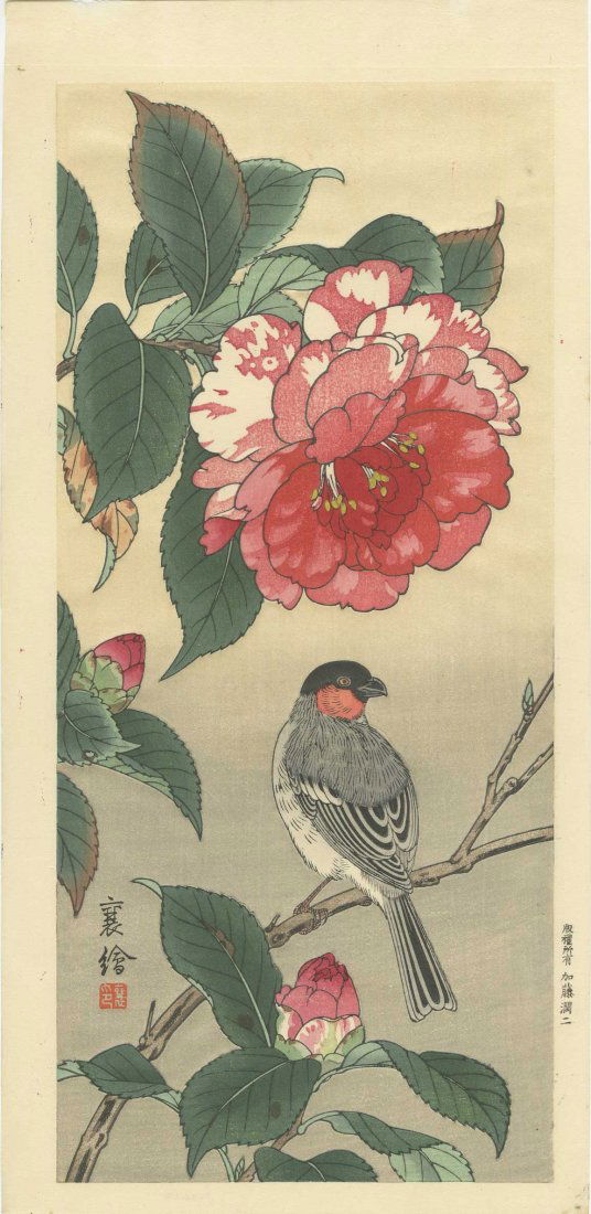 JO (Hashimoto Yuzuru) - Red Throated Finch and Camillia (1 of 2)