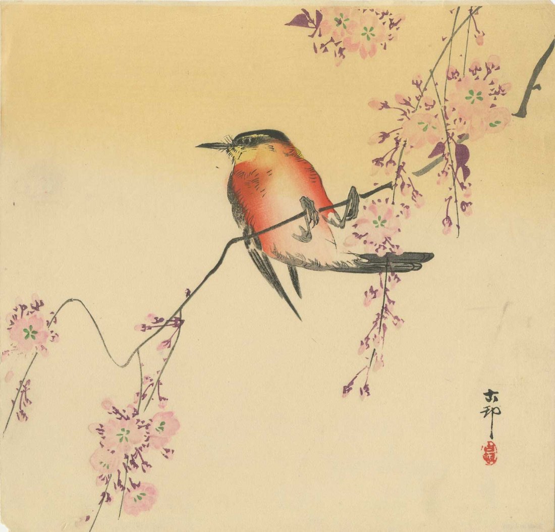 KOSON OHARA - Song Bird on a Blossoming Branch 1930s: KOSON OHARA - Song Bird on a Blossoming Branch 1930s Japanese Woodblock Print Size: 9.8" x 9.5" Notes: Published by Watanabe Provenance: Robert O. Muller estate No Reserve Buyer