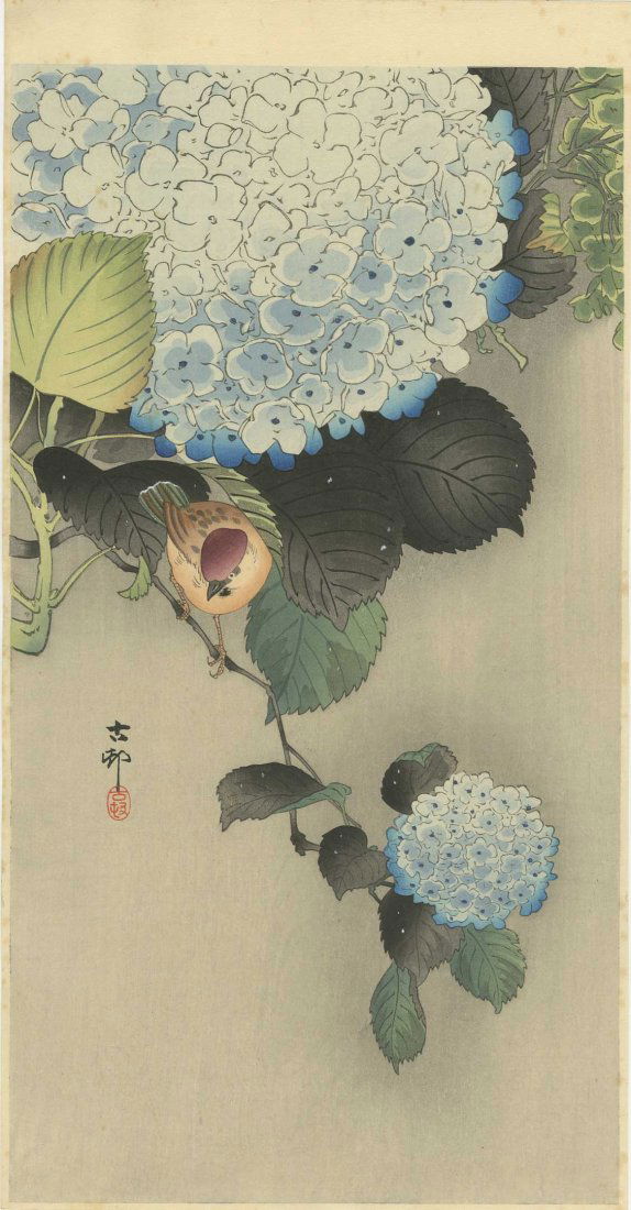KOSON OHARA - Sparrow and Hydrangea 1930s (1 of 2)