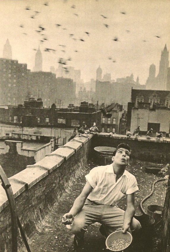 Davidson, Bruce - Pigeon: 1960 Sheet fed Copper plate gravure printer in Japan image size 7 x 10.5 inches Shipping Domestic: $15 shipping within the Continental USA. International: Additional shipping charges will apply. Locat