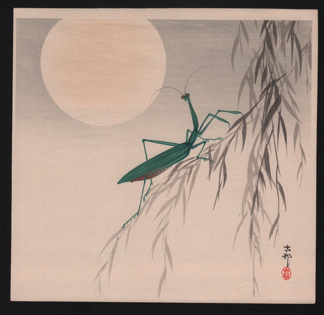 Original Japanese Woodblock print by Koson: Artist: Ohara Koson Subject: Praying Mantis Date: c.1910's Size: Measures 9.75" x 10.25" Condition: Fine color, impression, condition. Shipping Domestic: Flat-rate shipping fee of $12 within the Conti
