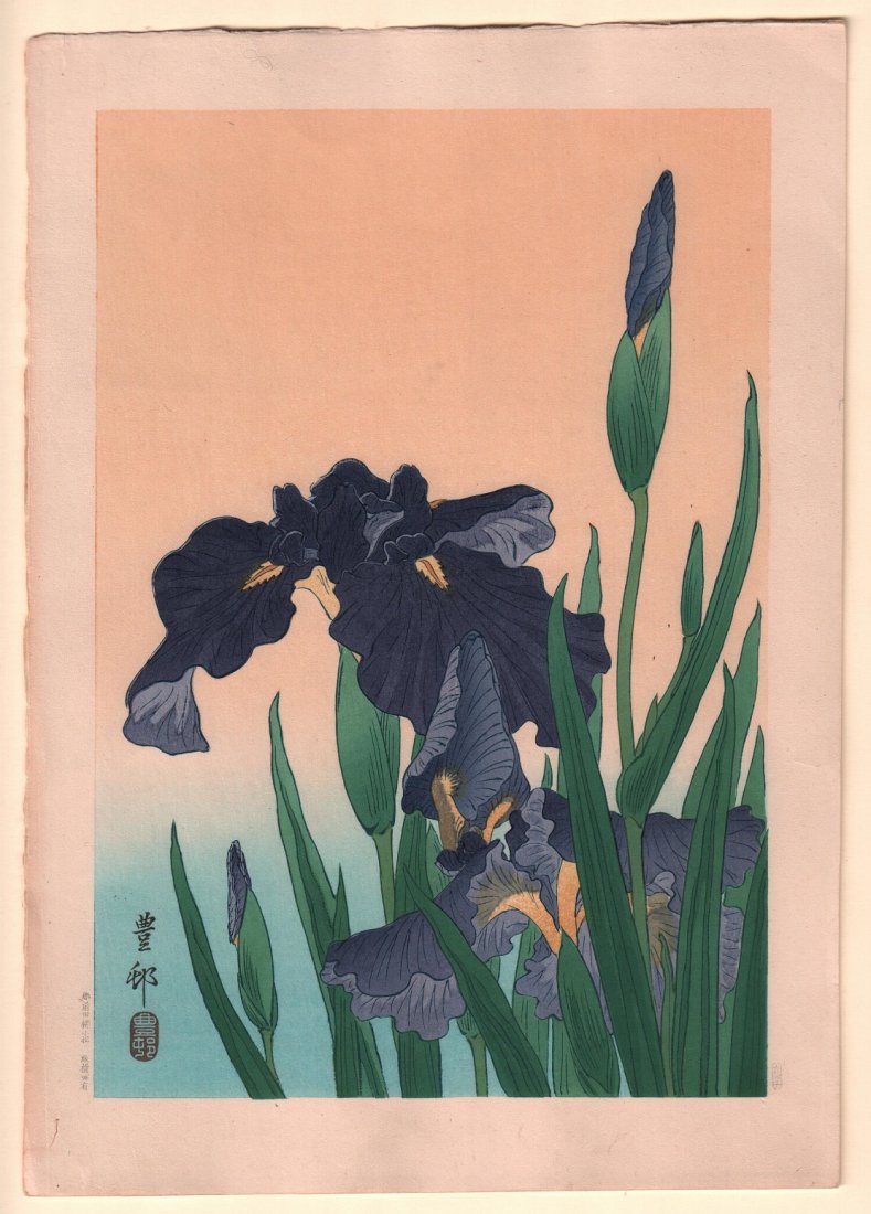 Original Japanese Woodblock print by Koson: Artist: Ohara Koson (signed Hoson) Subject: Iris flowers Date: c.1930's Size: Oban design measures 10.5" x 15" Condition: Fine color, impression, condition. Shipping Domestic: Flat-rate shipping fee o