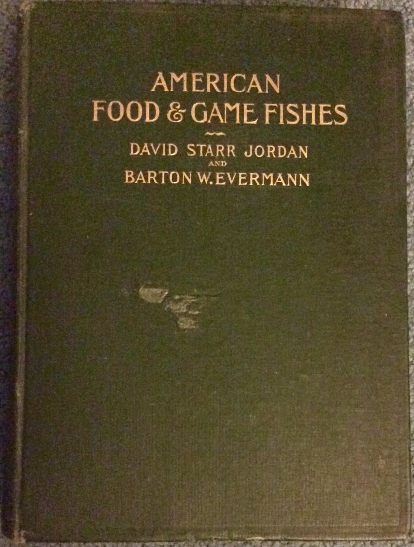 ANTIQUE 1908 Illustrated Hardcover Fishing Book: Antique 1908 Illustrated Hardcover Fishing Book. "American Food and Game Fishes. A popular account of all the species found in America North of the Equator by David Starr Jordan & Barton Evermann. HAR