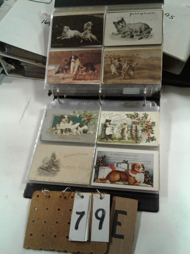 Estate Collected Misc. Old Postcards: Estate post card collection - collected over 70 years never for sale until now. A total of 265 misc. old postcards