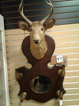 6 Point Buck Deer head Mirror Hanging Rifle Gun Rack: Nice deer head 6 point "Buck" 1890s American Beveled mirror 2 rifle gun hanging rack