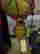 item-89092054=3