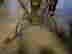 item-89092054=4