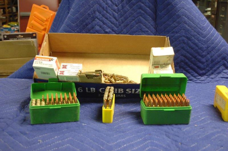 .223 Remington (1 of 1)