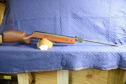 Winchester Daisy Model 1000