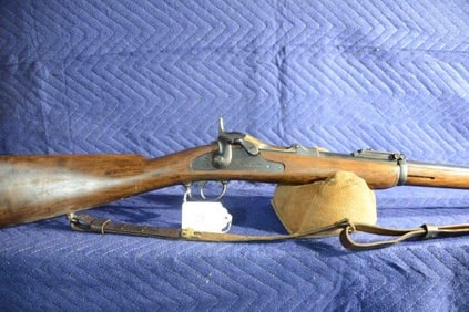 US Springfield Model 1873
