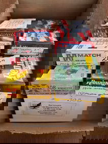 Assorted 308 Ammo