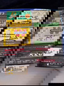 Assorted 20 Gauge Ammo