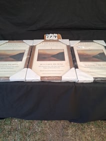 Three 1998 Skaneateles Lake, NY Posters