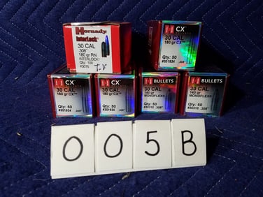30 Caliber Bullets