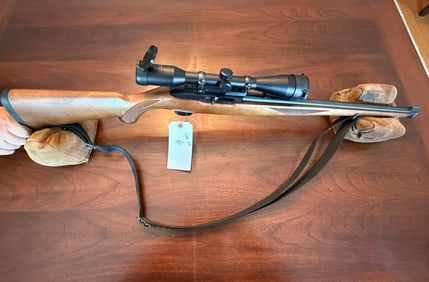 Ruger Model 10/22