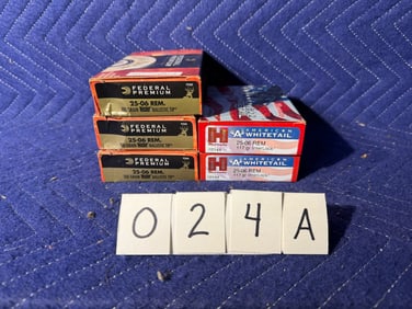 25-06 Remington Ammo