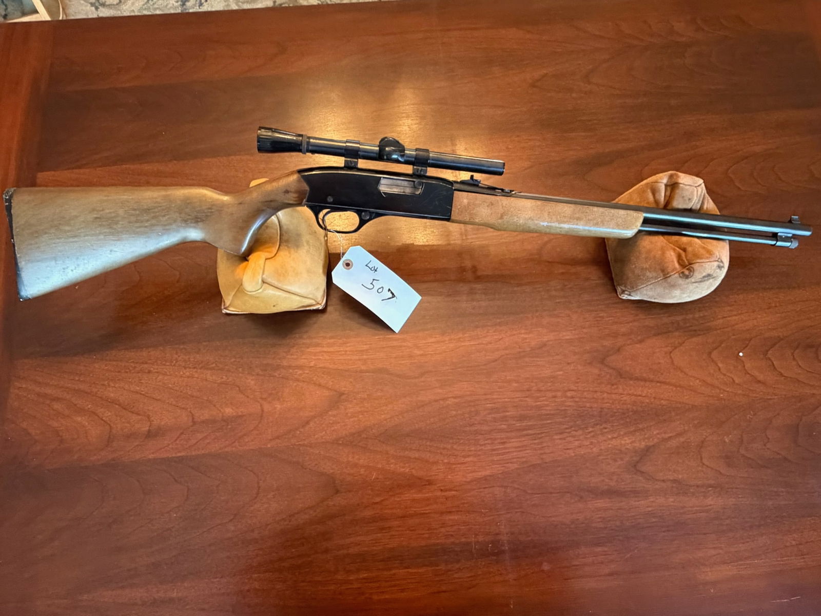 Winchester Model 190 (1 of 4)