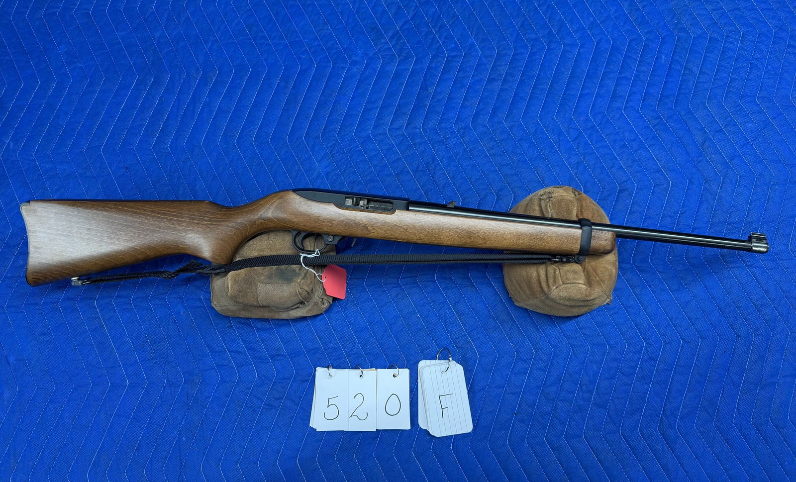 Ruger Model 10/22 - 3