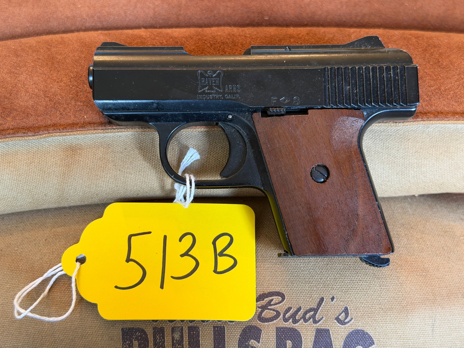 Raven Arms Model MP-25 (1 of 2)