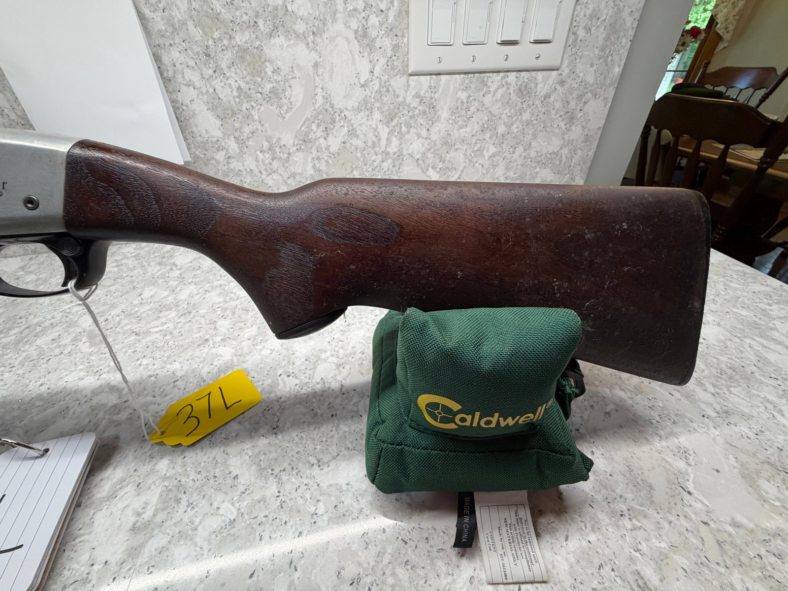 Remington Fieldmaster Model 572 - 2