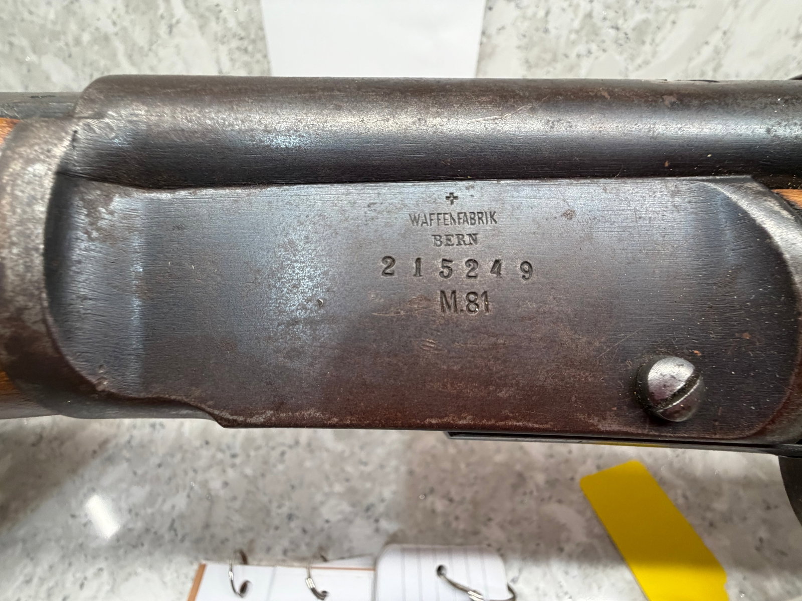 Waffenfabrik Bern Model M81 - 7