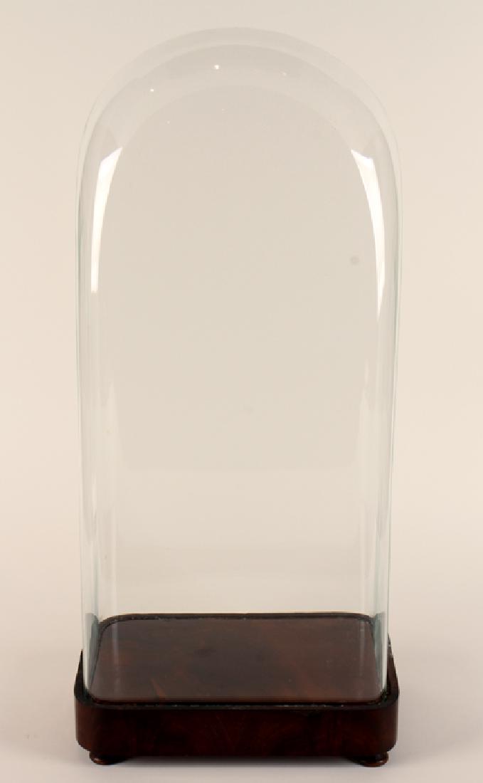 LARGE FRENCH GLASS DOME RESTING ON MAHOGANY BASE (1 of 3)