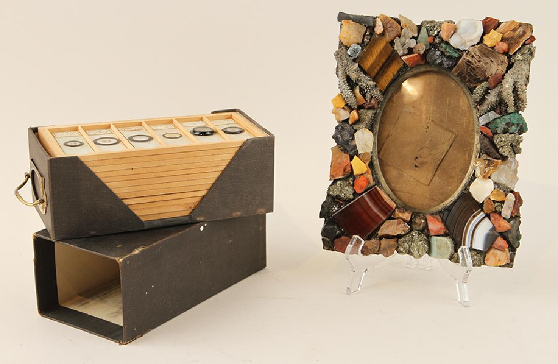 A NATURAL HISTORY LOT OF TWO ITEMS (1 of 5)