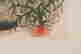 item-72280550=3