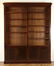 IRISH REGENCY ROSEWOOD OPEN BOOKCASE C.1830