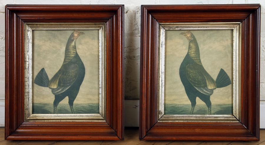PAIR 2 FRAMED ANTIQUE COLORED PRINTS OF FOWL (1 of 4)