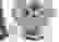 item-82432879=5