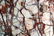PAIR OF ARCHITECTURAL MARBLE COLUMNS - 5