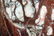 PAIR OF ARCHITECTURAL MARBLE COLUMNS - 6