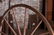 ANTIQUE HORSE DRAWN HAY RACK SPOKED WHEELS - 6