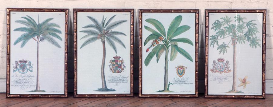 SET 4 PALM TREE PRINTS AFTER GEORGE D. EHRET (1 of 7)