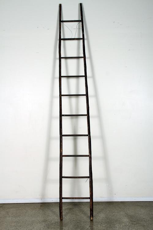 APPLE ORCHARD LADDER (1 of 5)