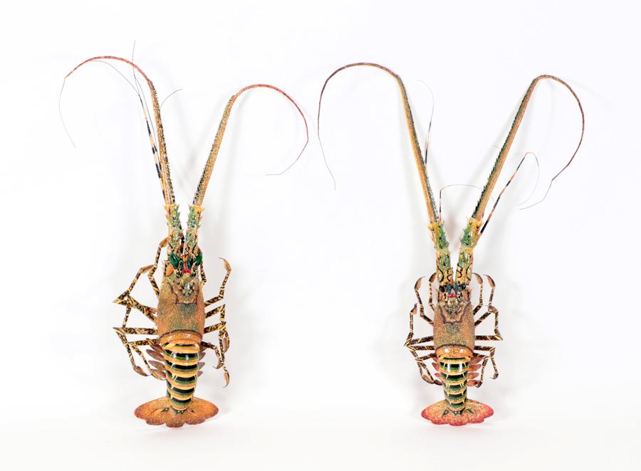 PAIR PAINTED WOOD SCONCES FORM OF LOBSTERS (1 of 7)