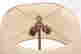 item-121523063=2