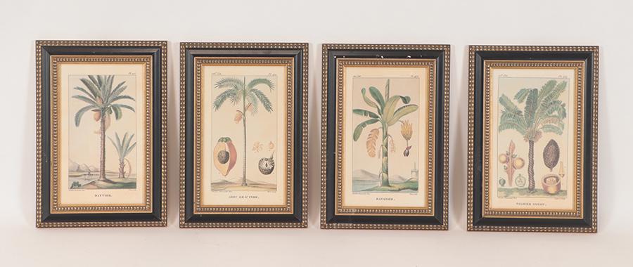 4 FRAMED PALM TREE PRINTS OFFSET LITHO (1 of 10)