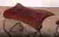 item-129612802=2