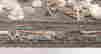 item-131510261=4