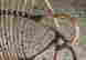 item-131510525=5