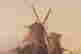 item-131692201=4