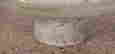 item-136662398=4