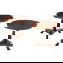 REGENCY STYLE ROUND END TABLES HAVING RADIAL VENEERED ROSEWOOD TOPS WITH BRONZE BANDING