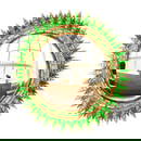 A 38" CONVEX MIRROR IN GREEN VINTAGE GLASS FRAME IN THE STYLE OF LINE VAUTRIN "SOLEIL ? POINTES"