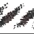 PAIR NICKEL OVER COPPER BLACK FOREST HUNTING TROPHIES C 1890.